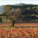 Bastide des Songes