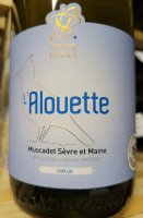 Domaine Pétard - Bazile l'Alouette 2023 (Muscadet Sevre et Maine - blanc)