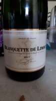 Pierre Chanau - Brut
