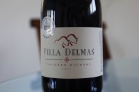 Villa Delmas - Carignan méchant 2019 (Vin de Pays des Côtes de Thongue - rouge)