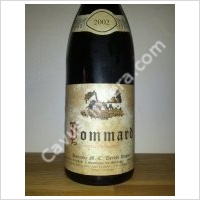 Pommard 1er cru Les Bertins 2002 - Henri Delagrange & Fils