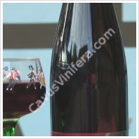 La Côte de Vincent - Vin sans alcool - Le meilleur du vin sans son alcool