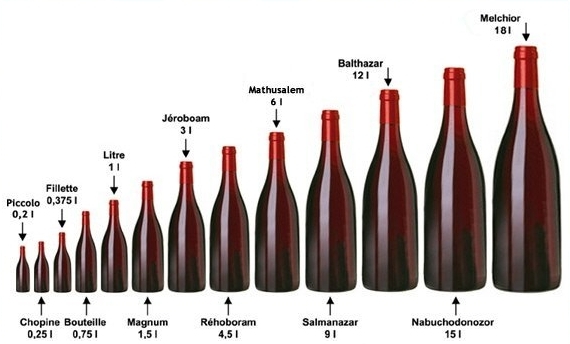 Tout savoir sur la forme des bouteilles de vin