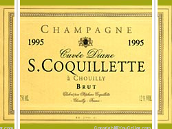 Stéphane Coquillette - Cuvée Diane