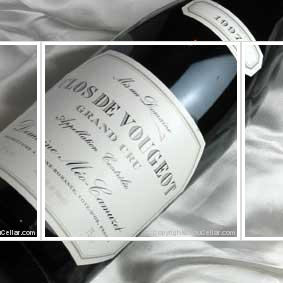 Domaine Méo-Camuzet
