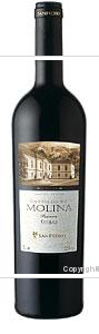 Castillo de Molina - Reserva Shiraz 