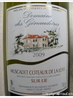 Domaine des Génaudieres