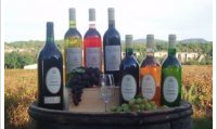 Domaine de Cassagnole - Merlot