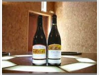 Pierre Gaillard Viognier