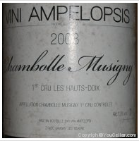 Vini Ampelopsis - 1er Cru Les Hauts-Doix