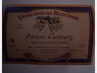 Domaine des Blouines