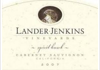 Lander Jenkins - Spirit Hawk