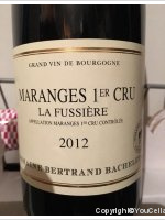 Domaine Bertrand Bachelet - 1er Cru La Fussière