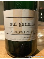 Pierre Andrey - sui generis AUXGW17dj14