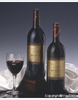 Vignerons de Buzet - Carte d'Or