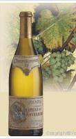 Château d'Auvernier - Chardonnay