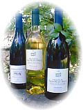 Château Grès Saint Paul - Rosanna