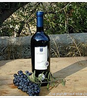 Château Ricardelle - Closablières