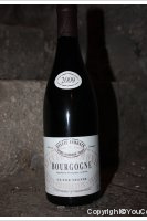 Domaine Sylvie Esmonin