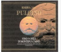 Pulcino