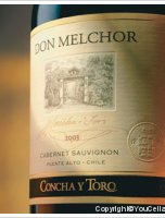 Concha y Toro - Don Melchor Cabernet Sauvignon
