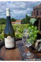 Domaine de la Noë - Cuvée du Petit Trianon