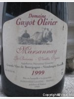 Domaine Olivier Guyot - Les Boivins