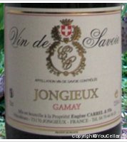 Eugène Carrel et Fils - Gamay 