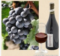 Cave des Tilleuls - Grande Réserve Pinot Noir