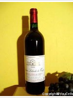 Château Lalande de Tayac