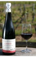 Domaine de la Gauterie - Gamay