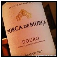 Porca de Murça