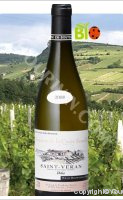 Domaine de la Croix Senaillet - Dolia