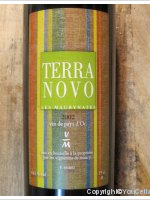 Terra Novo
