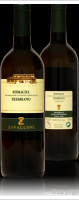 Zavalloni 