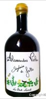 Alessandro Viola - sinfonia di grillo