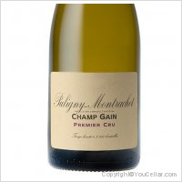 Domaine de la Vougeraie - 1er Cru Champ Gain