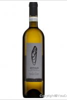 Mormoraia - Antalis