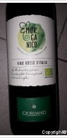 Giordano Morganico