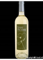 Henri Bonnaud - Terre Promise 