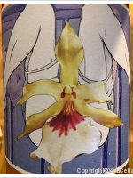 Collectif anonyme - phase 2 - Mille Plateaux